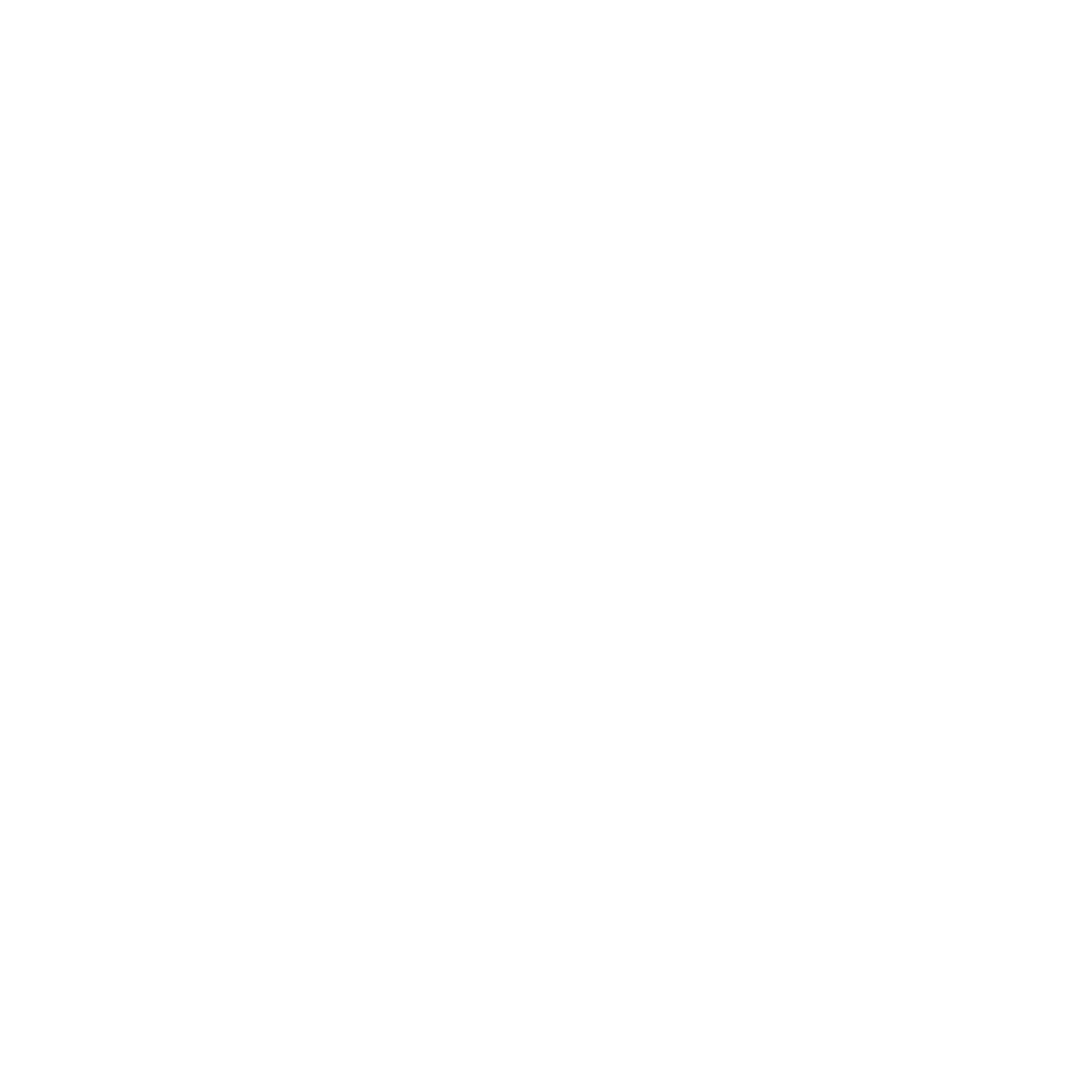 Nelson Nighthawks logo